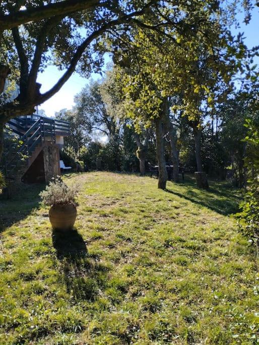 Вилла Casa De Camp Prop De La Costa Brava Romanya de la Selva Экстерьер фото